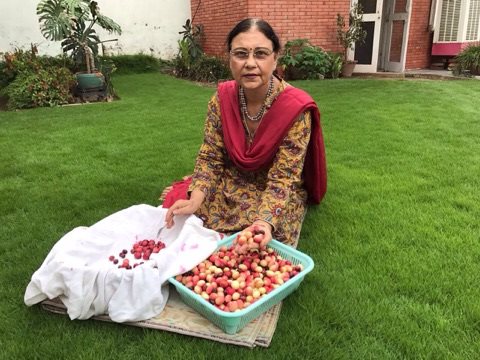 homemade in ludhiana